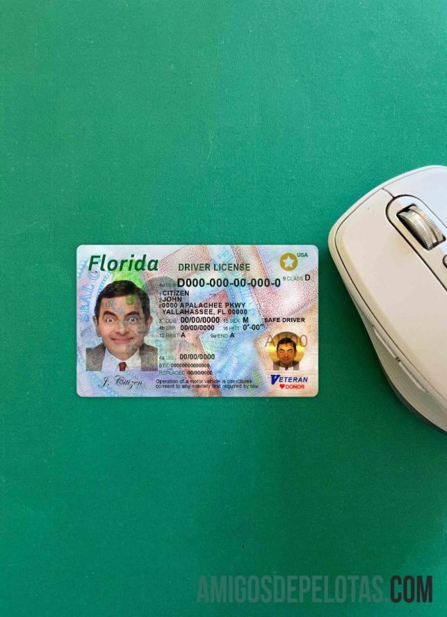 EUA Florida DL fotovisual frontal baixar para verificação